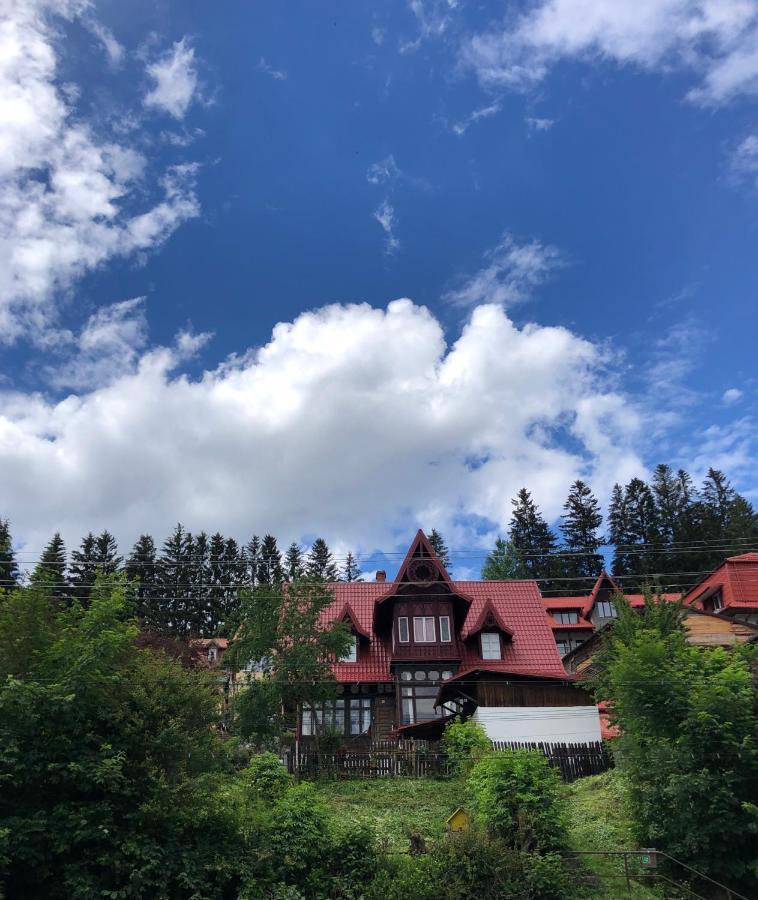Furnica 12 - Boutique * Sinaia